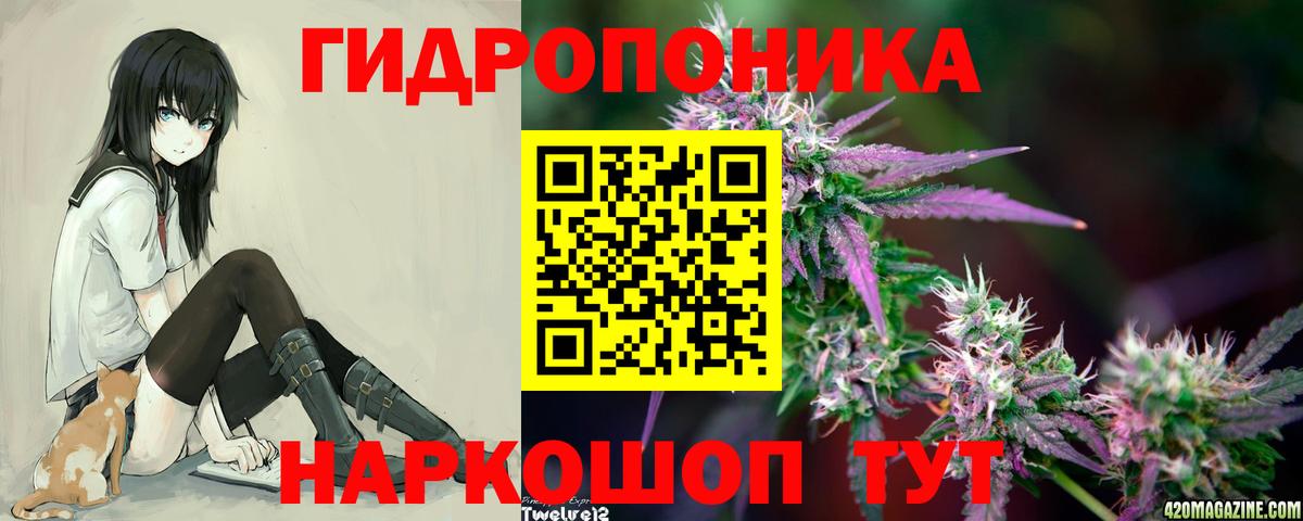 Каннабис ГИДРОПОН  Бошки марихуана AK-47  Вход с VPN  Амурск 